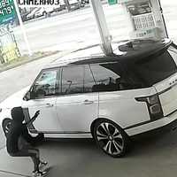 Man Steals Range Rover With Dog Inside As Woman Pumps Gas On Long Island