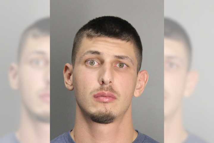 Dorian Lewandowicz, a 25-year-old man from Illinois, was nabbed on DWI charges after police say they discovered him slumped over his steering wheel and covered in powder.