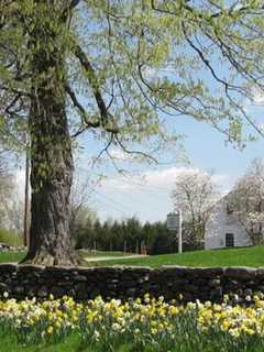 Lewisboro Seeking Applicants For Parks And Recreation Advisory Board