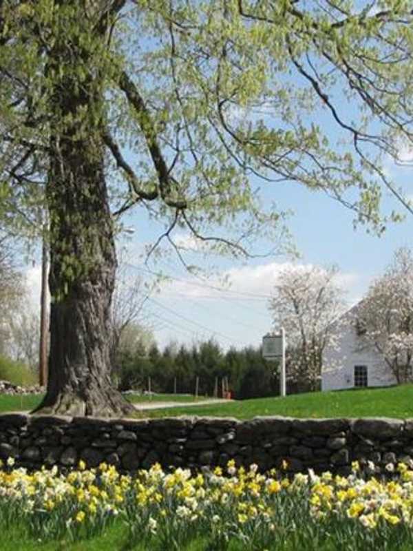 Lewisboro Seeking Applicants For Parks And Recreation Advisory Board