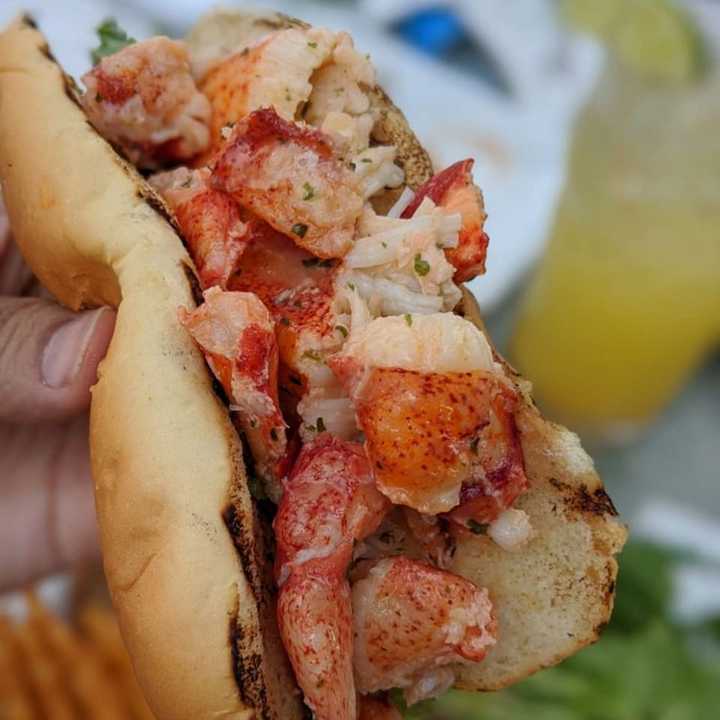 Hot lobster roll