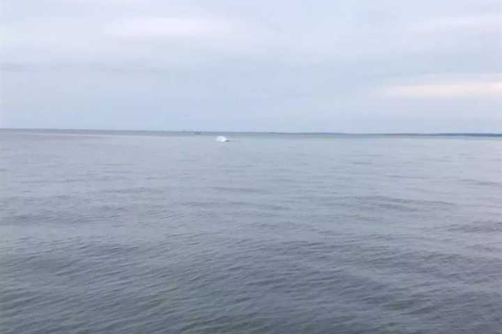 Long Island Sound Pollution Lawsuit Settled In Port Chester
