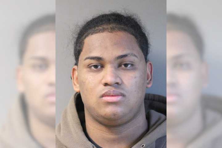 Second Suspect In Violent Long Island Robbery Nabbed, Police Say