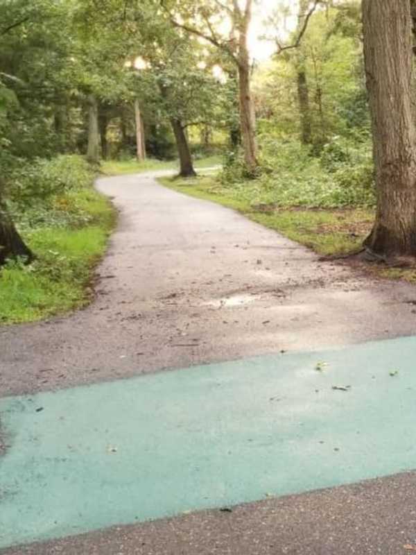 Swastika Found Scrolled In Long Island Park