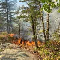 Arson: At Least 8 Fires That Destroyed 400 Acres In Lynn Were Intentionally Set
