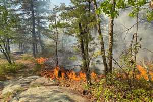 Arson: At Least 8 Fires That Destroyed 400 Acres In Lynn Were Intentionally Set