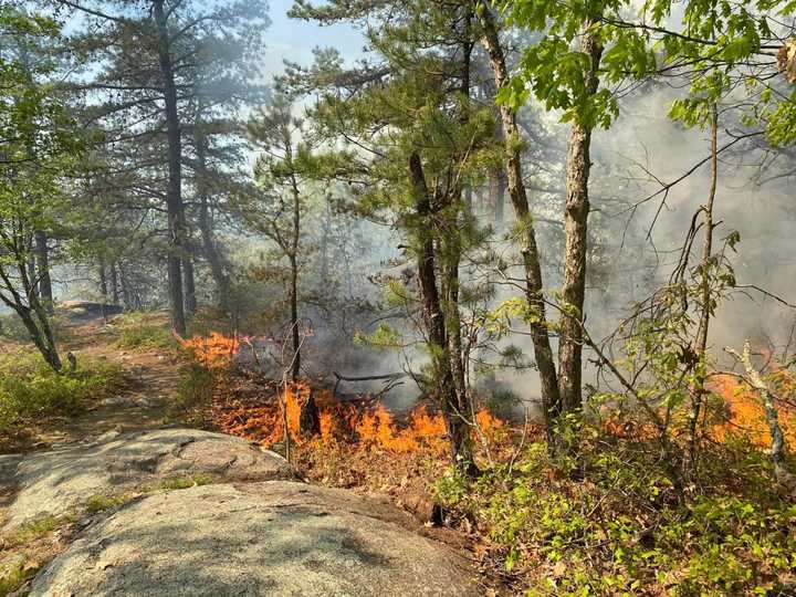 The state Fire Marshal said at least eight fires that have destroyed more than 400 acres of woods in Lynn were intentionally set.