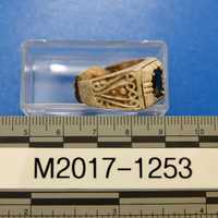 <p>A watch and ring were among the skeletonized remains found in Yonkers.</p>