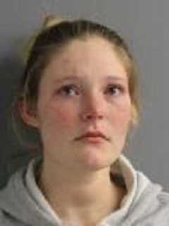 Woman Charged With Stealing, Forging Checks From Amenia Business