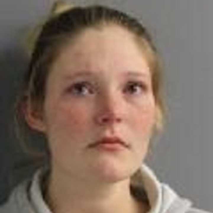 Madison L. Marshall, 25, of Millerton, N.Y., faces felony charges in connection with the theft of checks from an Amenia business, police say.