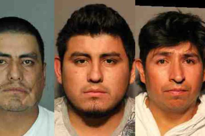 Three Plead Guilty In Deadly Beating Of Area Laborer