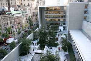 Get A Free Pass To The Museum Of Modern Art At Ridgewood Library