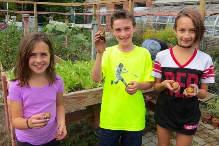 Meadow Pond Elementary Students Partake In Harvest Day