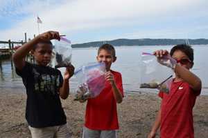 Irvington Students Study Natural Wonders, Cultural Significance Of Hudson