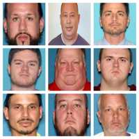 <p>These men all were charged with various child sex crimes ranging from assault and child endangerment to the possession and distribution of child pornography.</p>