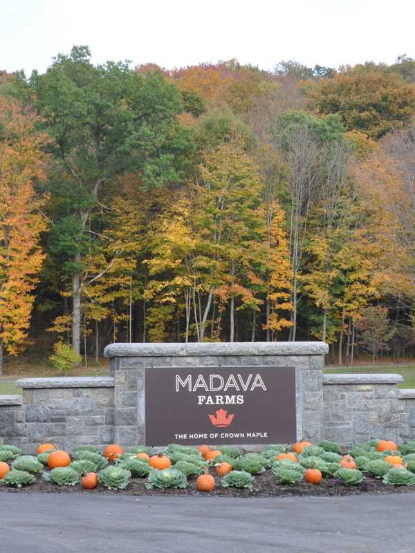 Madava Farms Hosting Father's Day BBQ