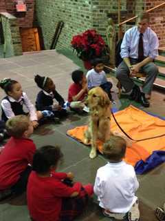 Maggie the Comfort Dog Spreads Serenity At Bronxville School