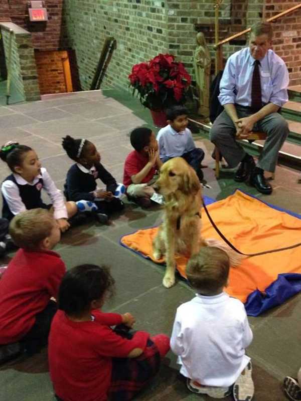 Maggie the Comfort Dog Spreads Serenity At Bronxville School