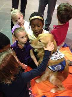 Bronxville's Chapel School Named Charity Partner Of TCS New York Marathon