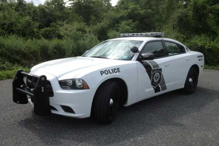 Suspects In Attempted Car Theft Spotted On Route 46 In Mount Olive