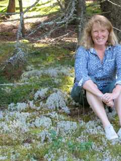 Children Invited To Reading Of 'Apple Orchard Riddle' At Beekman Library