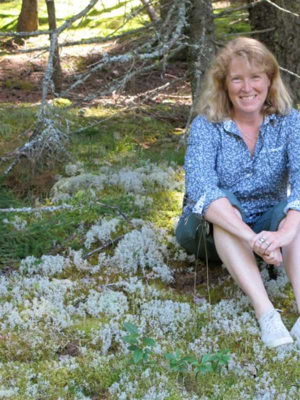 Children Invited To Reading Of 'Apple Orchard Riddle' At Beekman Library
