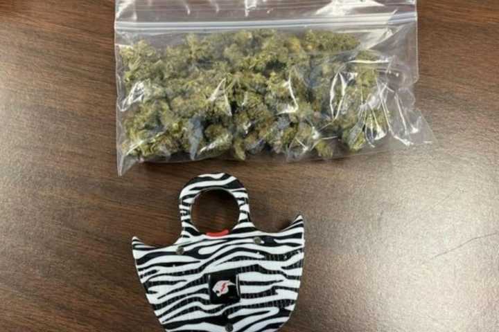 Girl Busted With Fancy Stun Gun, Bag Of Weed At Westlake High School, Sheriff Says