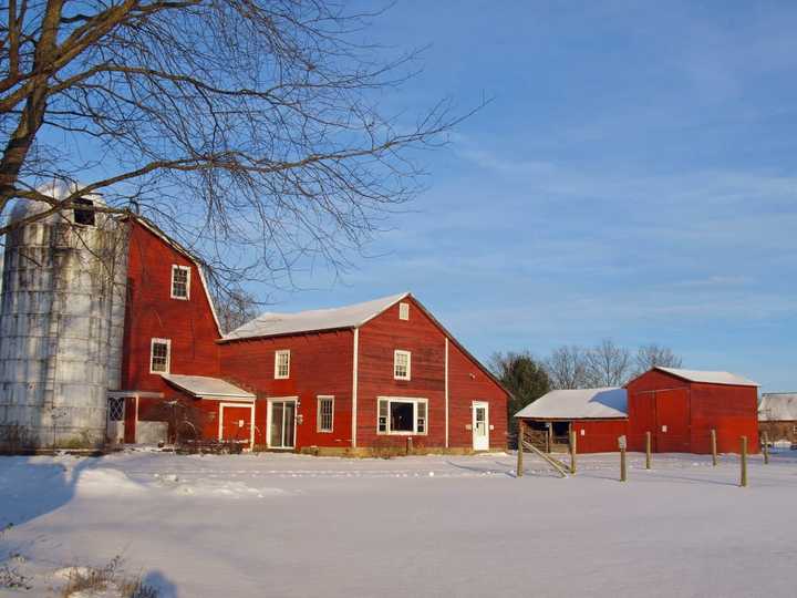 Sprout Creek Farm