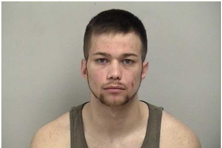 Police: Westport K-9 Finds Drugs, Grinder In Darien Man's Car