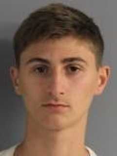 Teens Face Felony Charges After Vandalizing Dover Town Park, Police Say