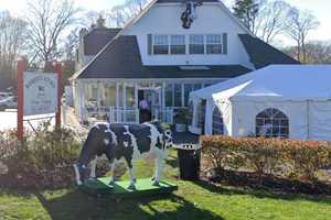 This Eatery Serves Up Best Breakfast On Long Island, Voters Say