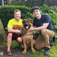 Meet Surrendered German Shepherd Puppy's New Bergen County Dads