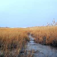FOUND! Boy, 14, Who Went Missing In Meadowlands Marshes Late At Night Reunited With Mom