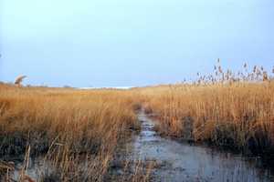 FOUND! Boy, 14, Who Went Missing In Meadowlands Marshes Late At Night Reunited With Mom