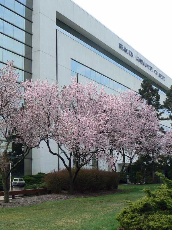 Bergen Community Offers Weekend Degree Program At Lyndhurst Campus