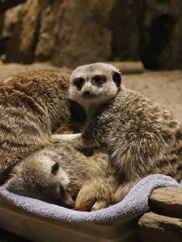 Maritime Aquarium Offers Discounts For Grandparents Day
