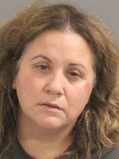 Levittown Woman Accused Of Hitting, Spitting On Officers, Police Say