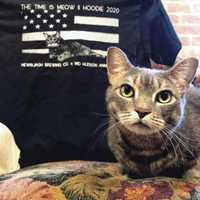 One Cool Cat: Newburgh Brewing Mascot Featured In Major Foodie Magazine