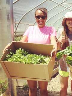 Millbrook Students Grow Veggies, Community Ties