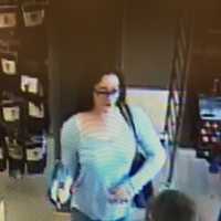 Police Seek Public's Help In Cortlandt Stolen Credit Card Investigation