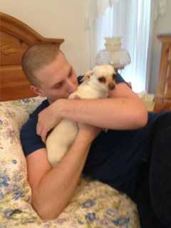 Help Find Missing LaGrangeville Chihuahua