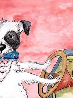 Local Author Thomas Clemmens Reads 'Mistaken For A Dog' At Kent Library 