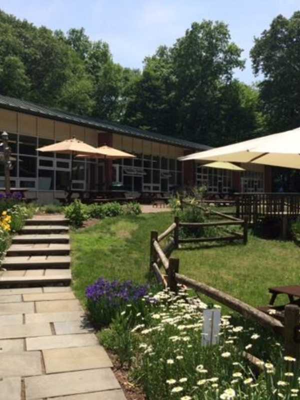 Wilton Montessori School Celebrates Opening Of New Toddler Rooms