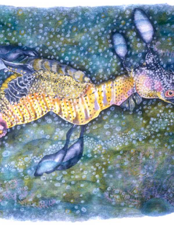 'Aqua' Exhibit Opens At Norwalk's Maritime Garage Gallery