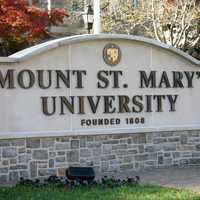 <p>Mount St. Mary's University in Maryland
  
</p>