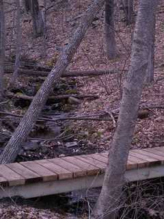 Kent Library Discusses Nature
