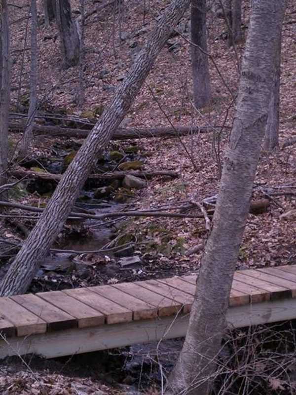 Kent Library Discusses Nature