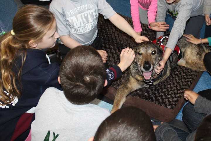 River Vale Mom Teaches Acceptance Through Art