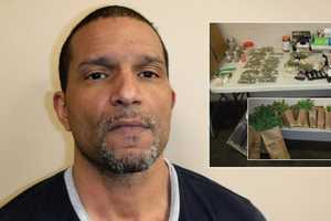 Suicide Call Leads New Milford Police To Basement Pot-Growing Operation