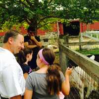 <p>Westchester County Executive Robert P. Astorino shows off some of Muscoot’s new arrivals. </p>